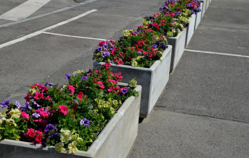 6 Stylish Concrete Planters to Wow Visitors at your Premises